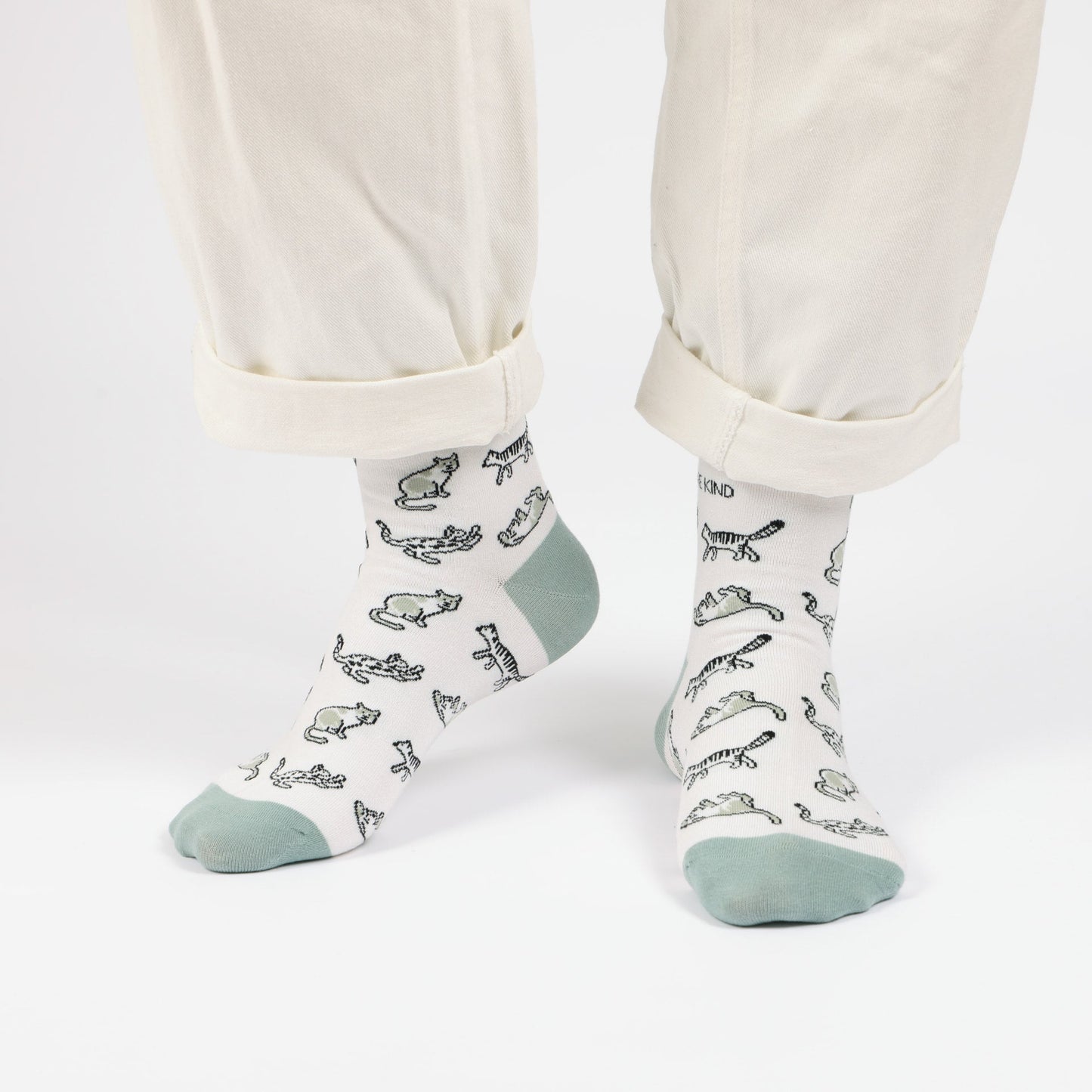 Green Cat Pet Pair Bamboo Sock Set