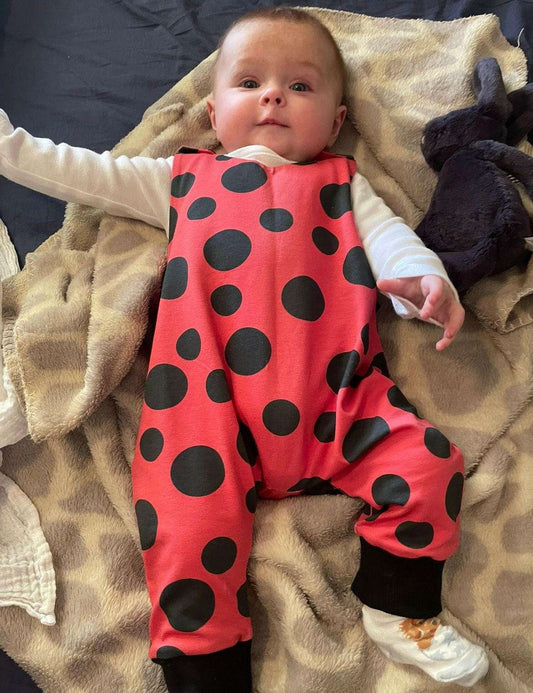 Ladybird Romper